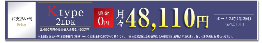お支払い例