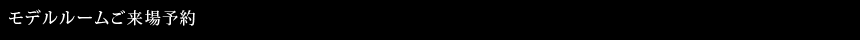 ���f�����[��������\��