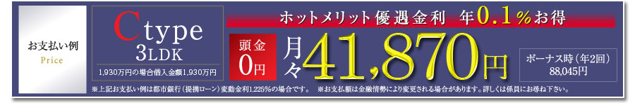お支払い例