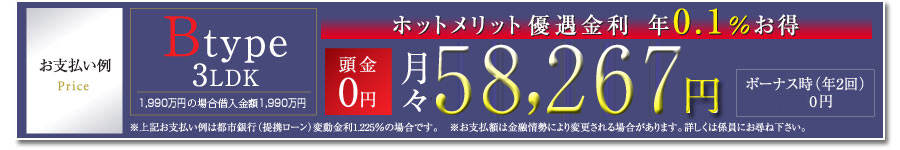 お支払い例