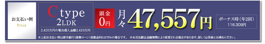 お支払い例