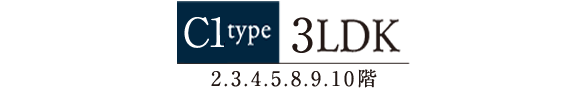 C1TYPE
