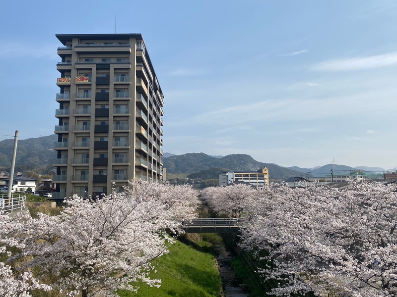 NEWS｜サンライフ企救丘駅南 公式サイト 北九州市小倉南区の新築分譲マンション